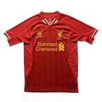 Liverpool 2013-14 Suarez